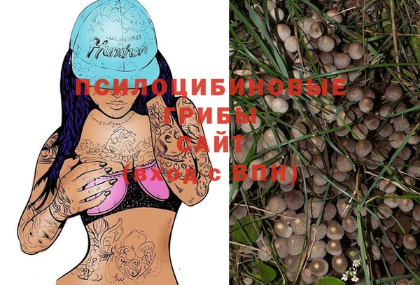 MESCALINE Абинск